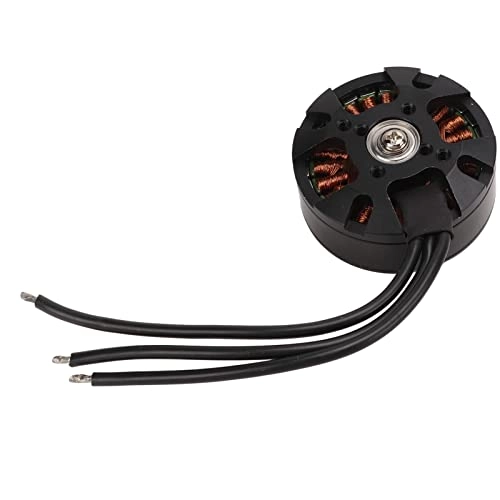 Brushless Motor