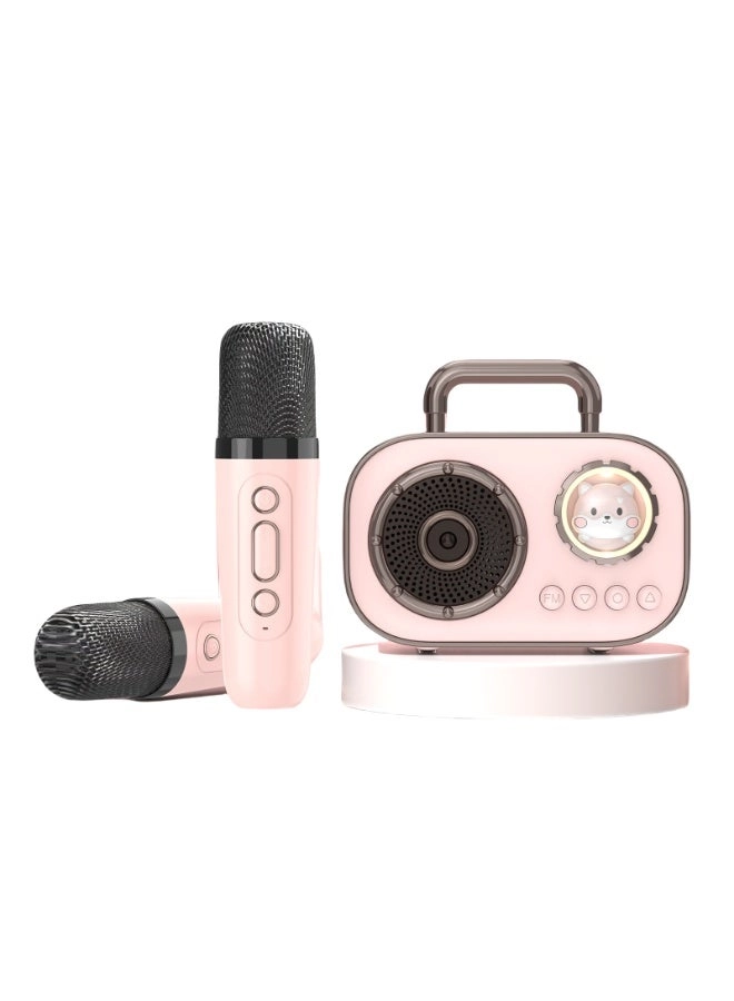 LED Bluetooth Karaoke Speaker - Dual Microphones