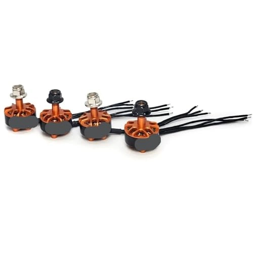 Brushless CW CCW Motor