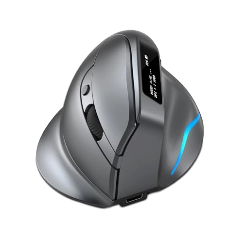 Ergonomic Vertical Mouse - Wireless