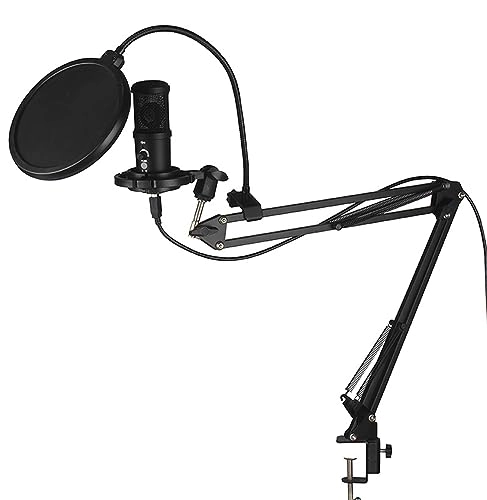 BM-818 USB Microphone