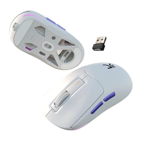 Pegasus 58 GMS Ultra Lightweight Gaming Mouse - Wireless