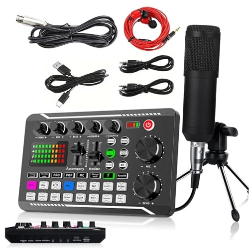 BM-800 USB Microphone + Live Sound Card