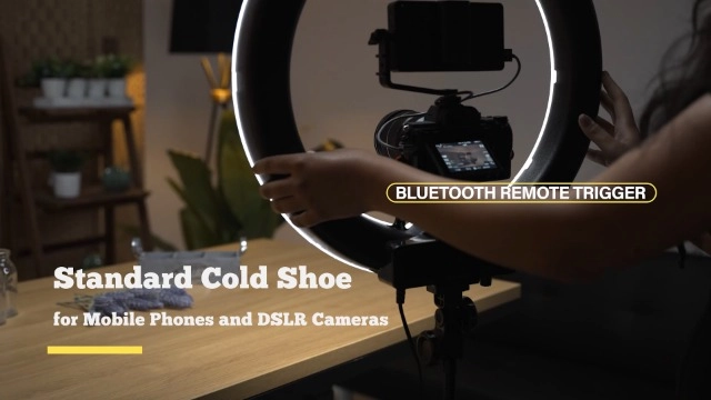 RL-18-inch - 3200-5600K Stand Included