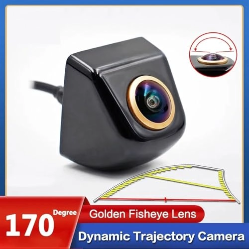 HS021 - CVBS 728 × 512