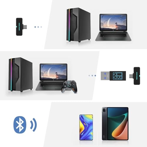 SW4 Wireless Earbud