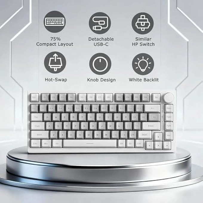 AK820 - Retro Similar HP Switch Wired