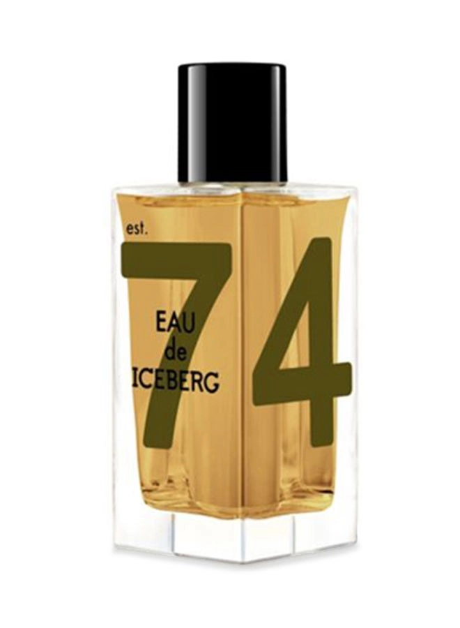 Amber Man Eau de Toilette 100 ml