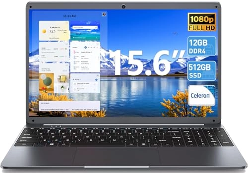 X15 - 15.6'' Celeron N5095A 12GB DDR4 512GB SSD