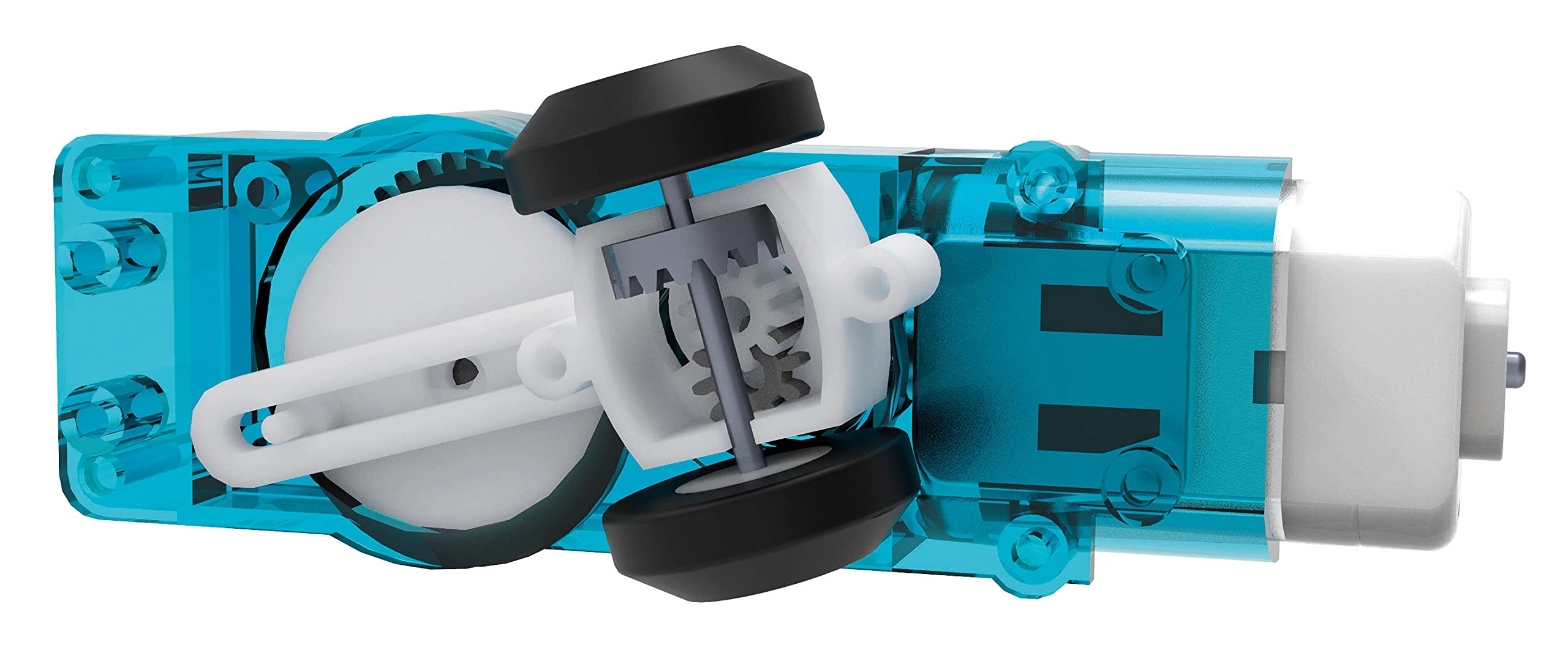 Slitherbot - 8 years+