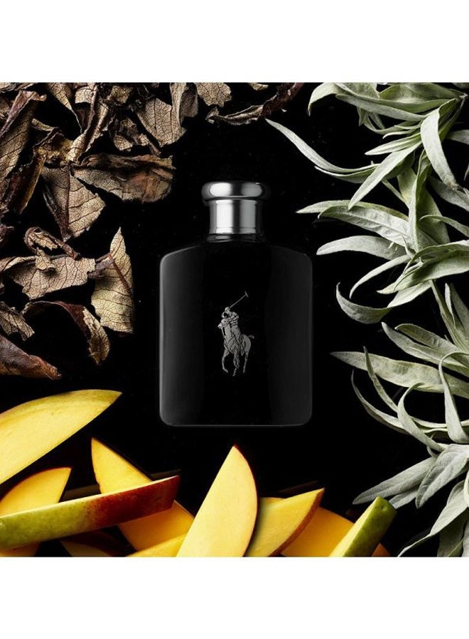 Polo Black Eau de Toilette 75ml