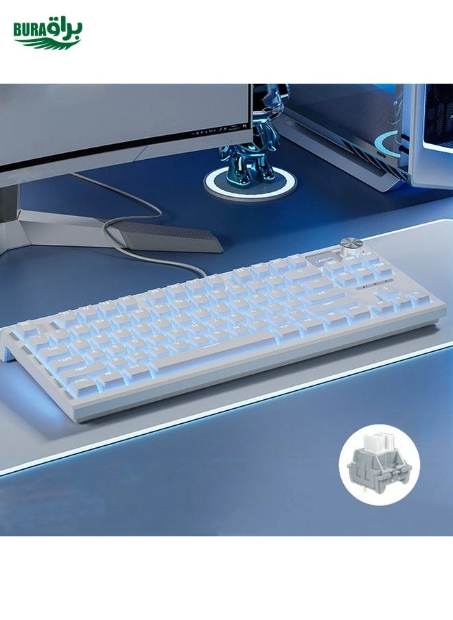 BURAQ LT84 - EN Wired/Wireless