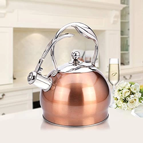 Stovetop Induction Whistling Kettle - 5L