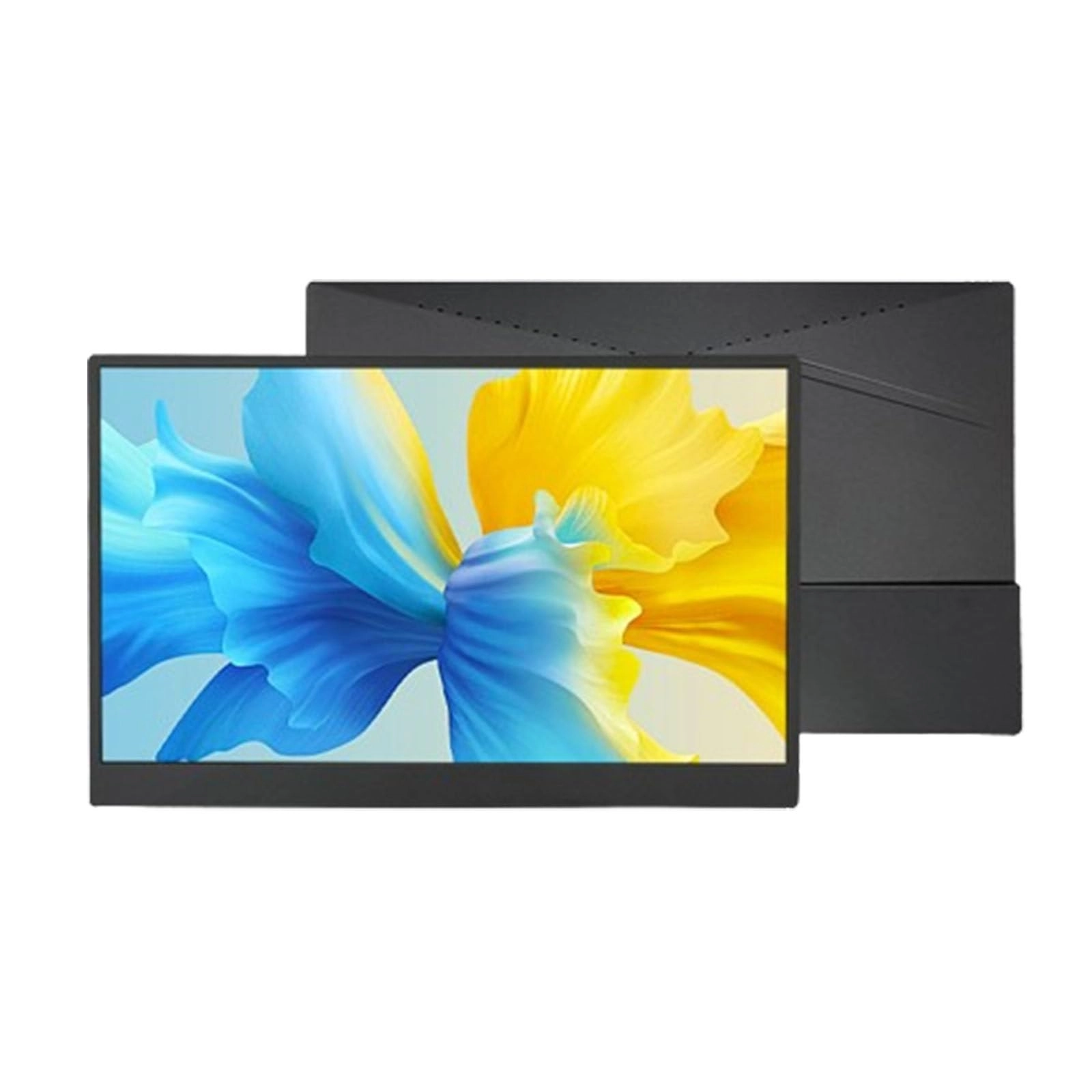 QLXJFGLQ Portable Monitor - 1920x1080 17.3-inch