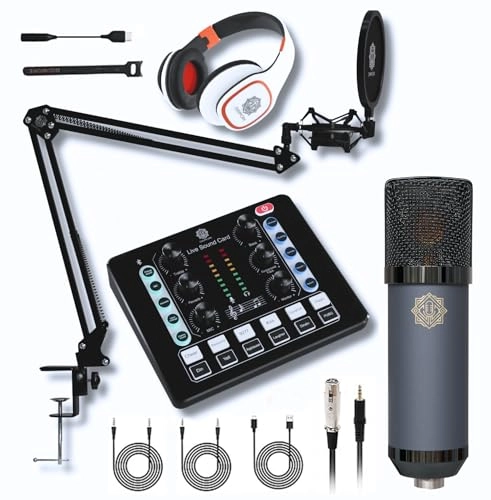 D-440 Wired Microphone