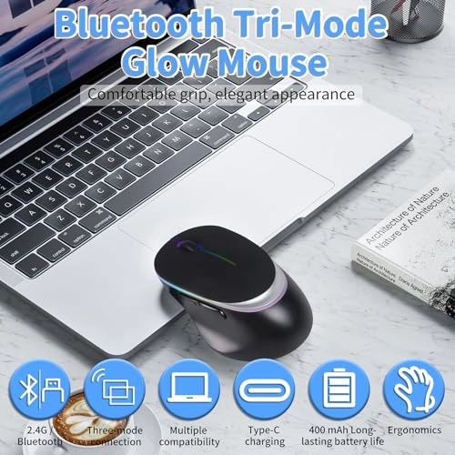 Ergonomic Vertical Mouse - Bluetooth