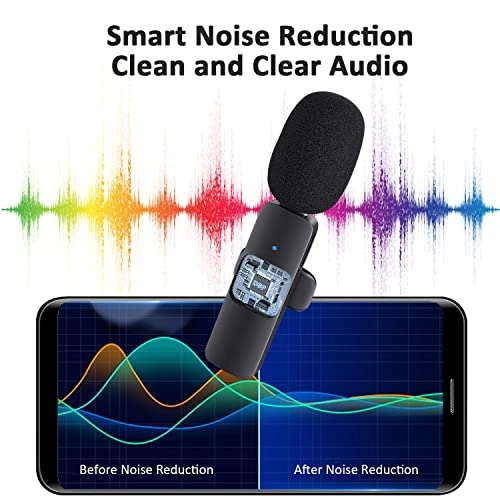 WM281 Wireless Microphone