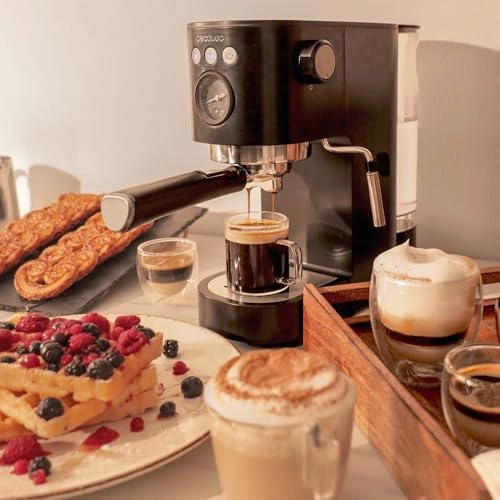 Cafelizzia Fast - Thermoblock Steerable Steamer