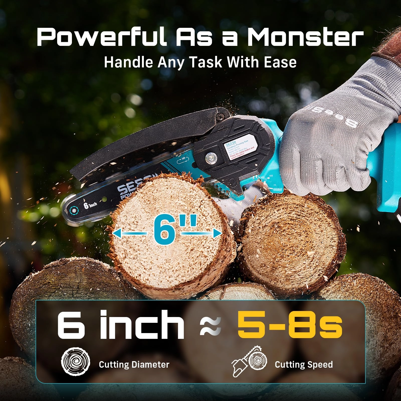 CH600+ - 900 watts