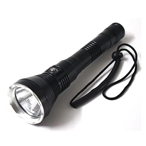 Professional Submersible Light