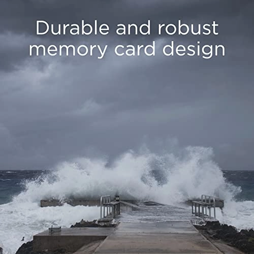 Compact Flash Card - 4GB