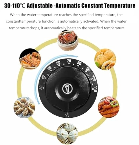 Electric Dim Sum Steamer - 2/4/6 hole 30-110C