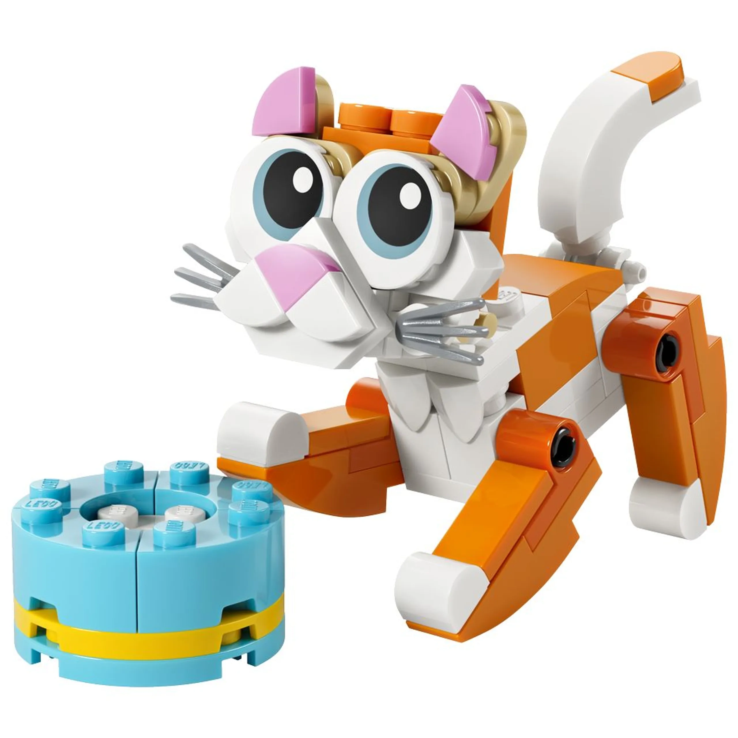 3-In-1 Cat