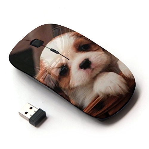 Optical Mouse - Wireless