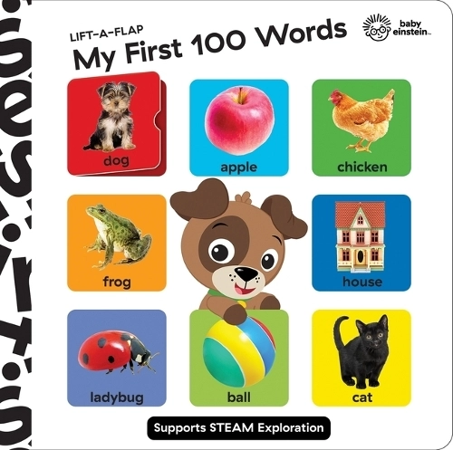 Phoenix International Publications, Incorporated Baby Einstein My First 100 Words Book