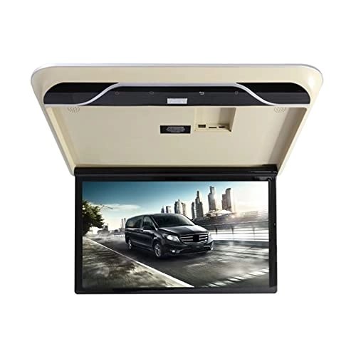 Car Ceiling Display - 19 Inch
