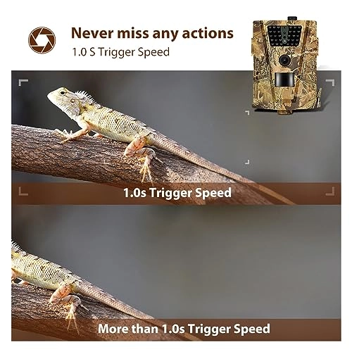 Hunting Camera - 12MP