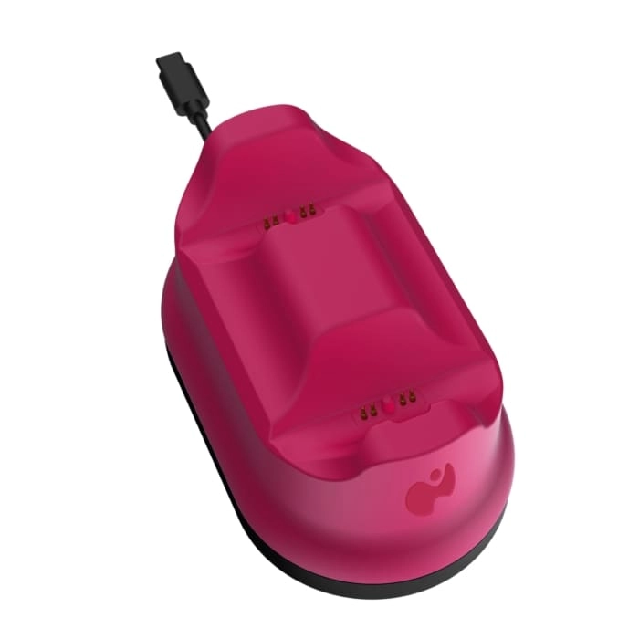 Metavolt Dual Charger - USB Type-C PS5