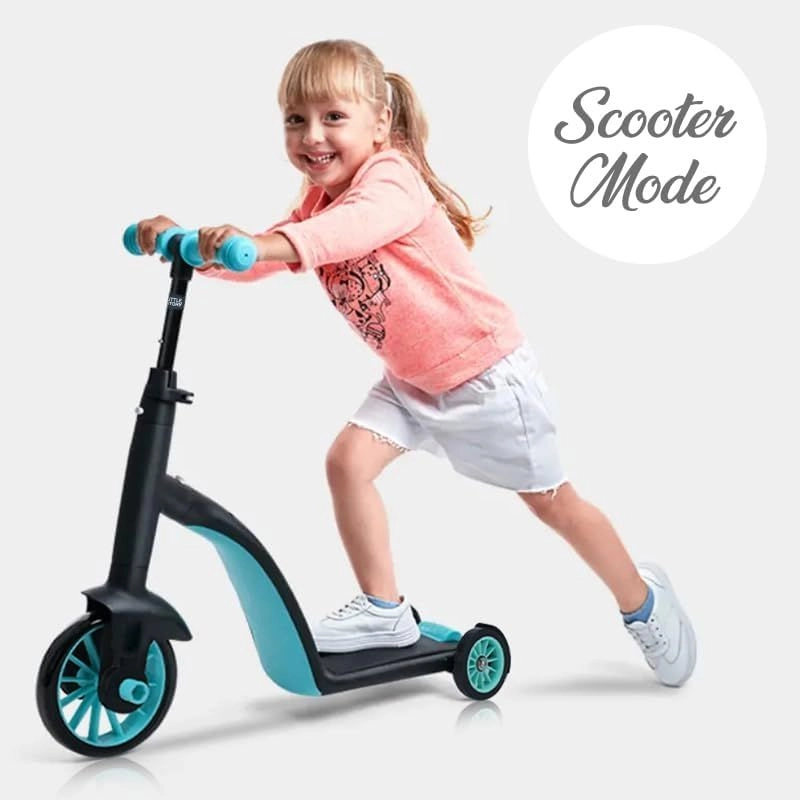 Multifunctional Kick Scooter