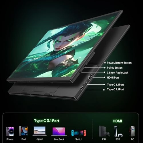 Portable Monitor - 21.5" 1920 x 1080 Pixels