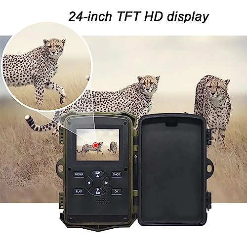 Trail Camera - 12MP