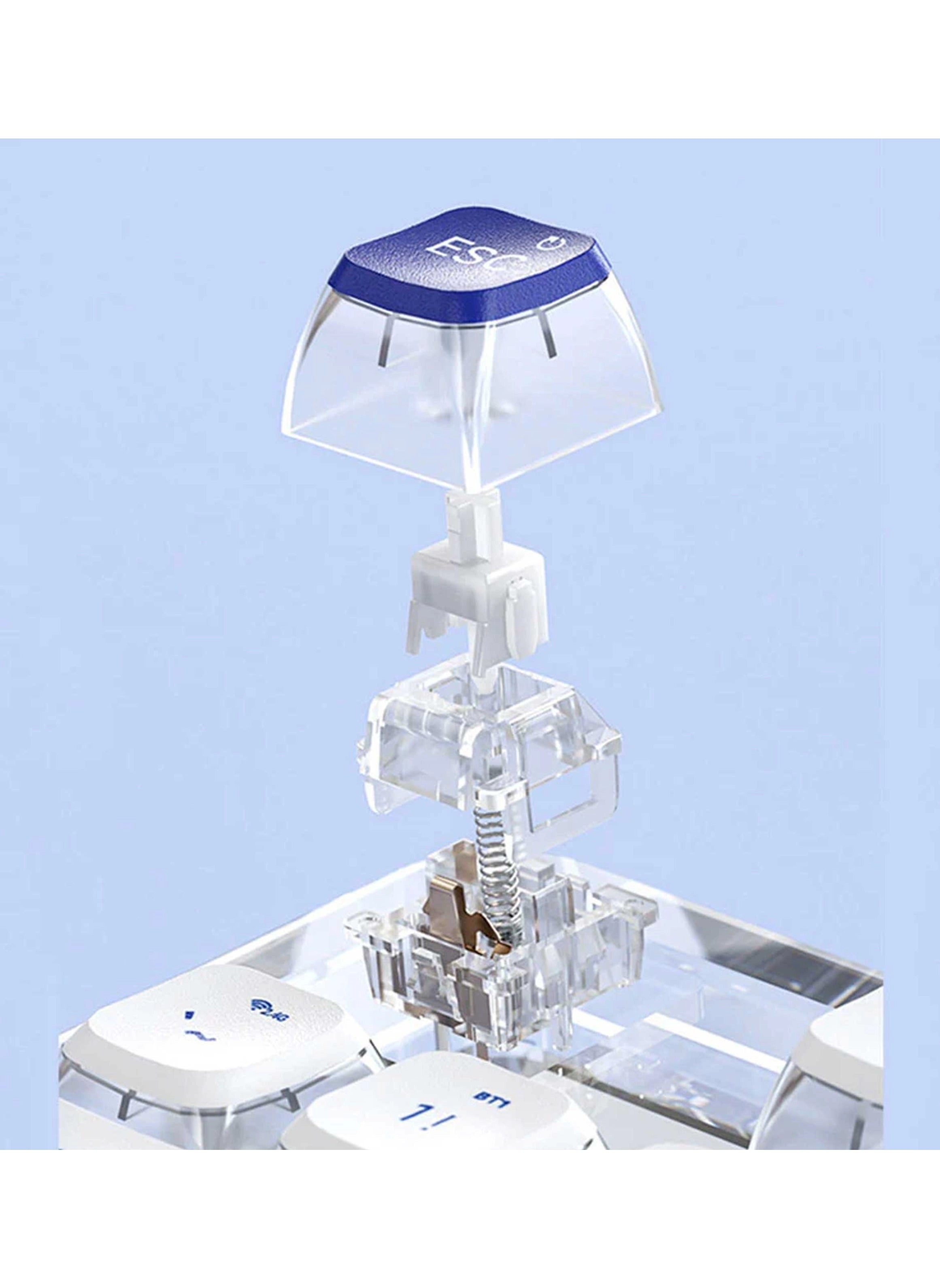 K81 - EN Wired/Wireless