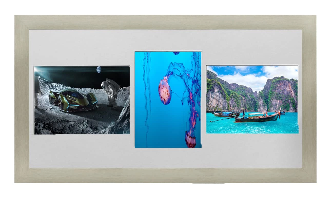 Multi Aperture Picture Frame - 20x10 3x