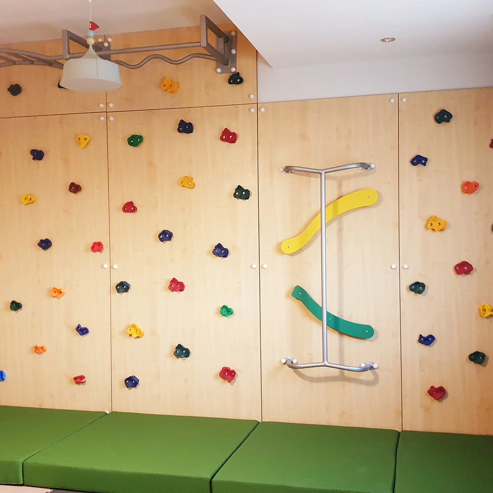 Climbing Wall - Monkey Bars Fireman Pole 560 x 50 x 300 cm