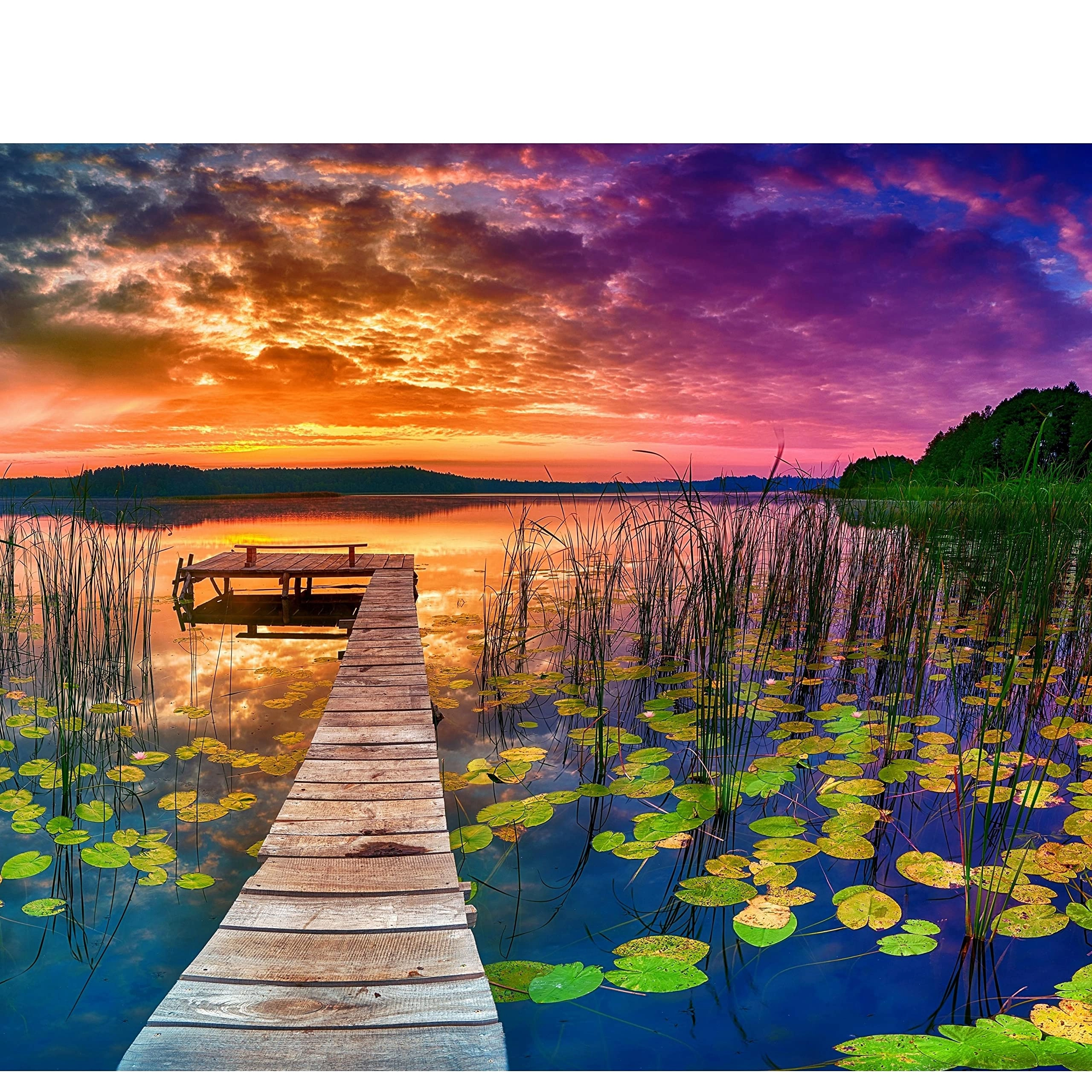 Gerjato Landscape Puzzle - 1000 pcs