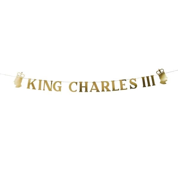 Party Zone King Charles Iii Banner