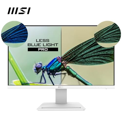 Pro MP243XW - 23.8 Inches 1920 x 1080