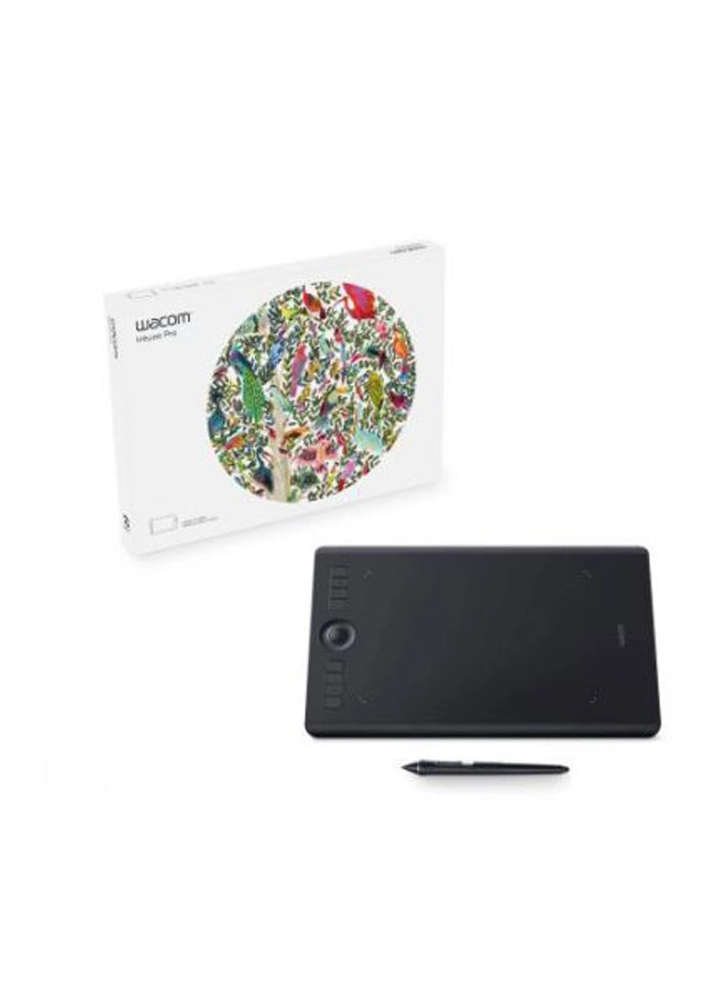 Intuos Pro - 224 x 148 mm 8192