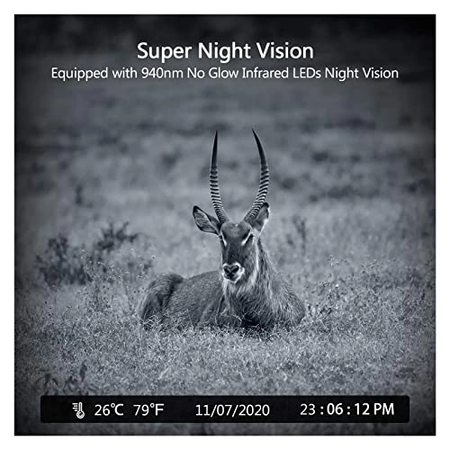 Wildlife Hunting Camera - 5MP