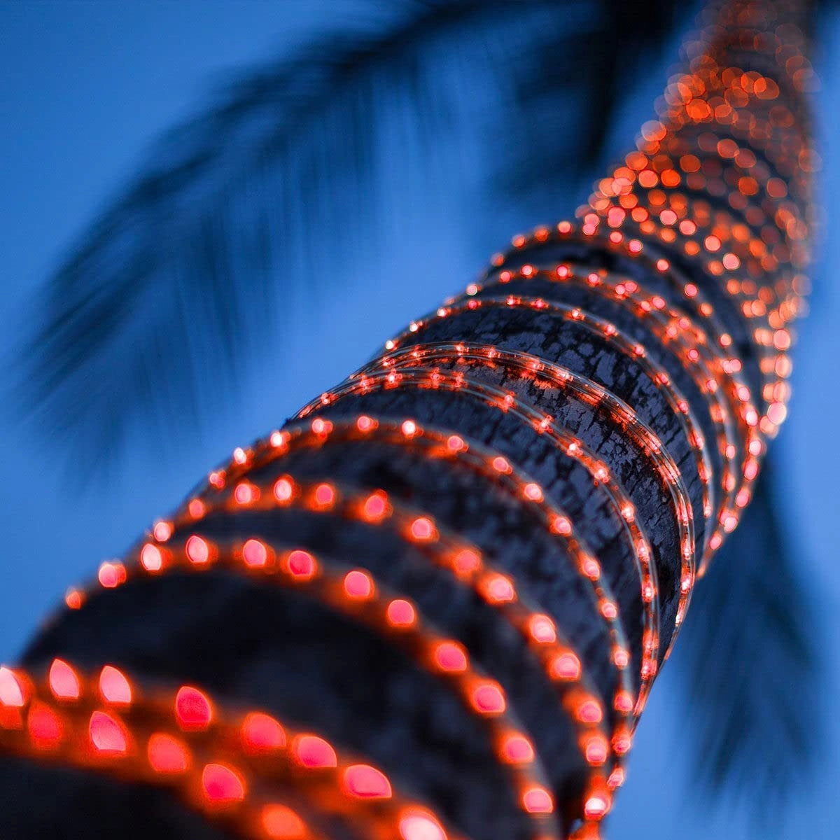 strip light - 35 Meter