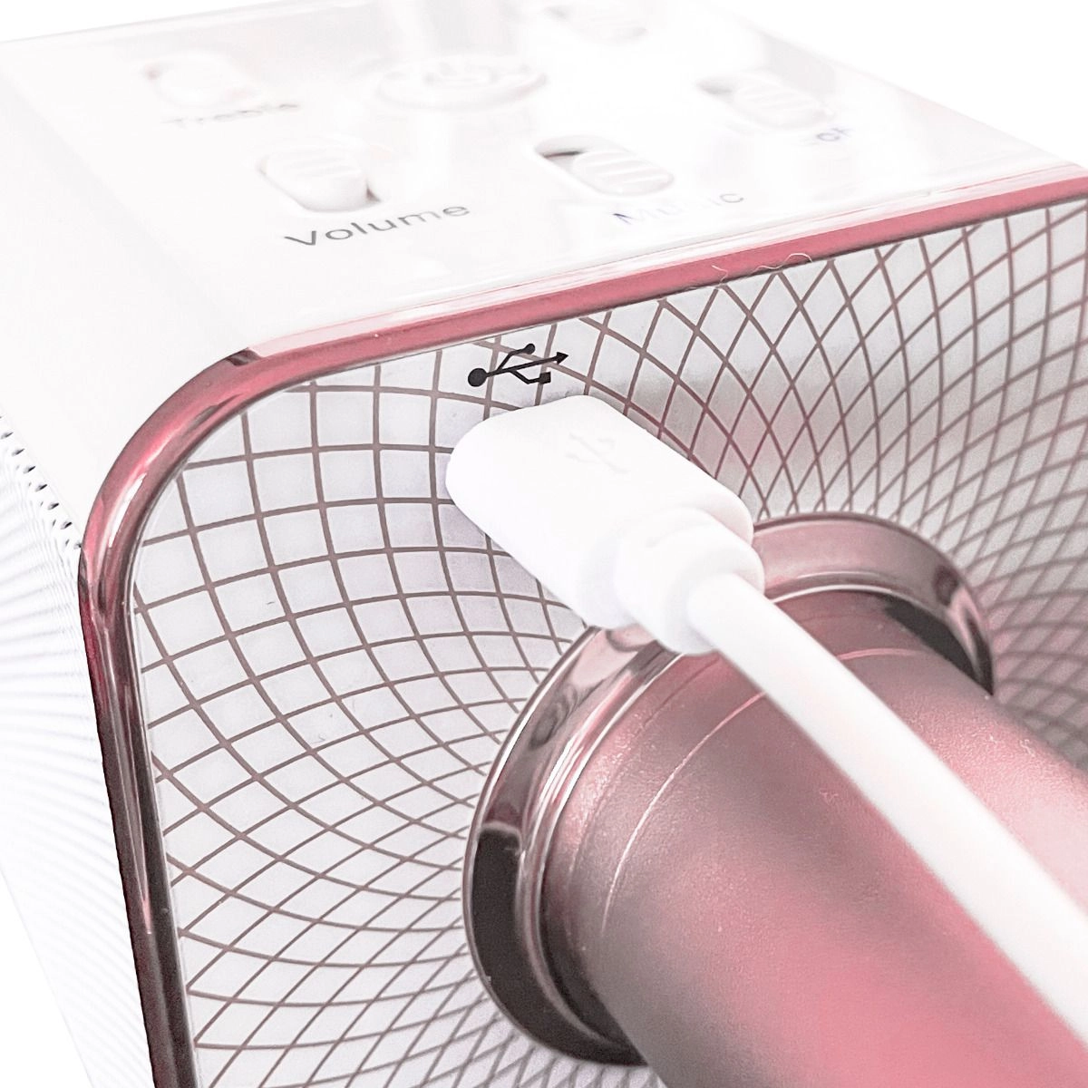 Hello Kitty Karaoke Microphone