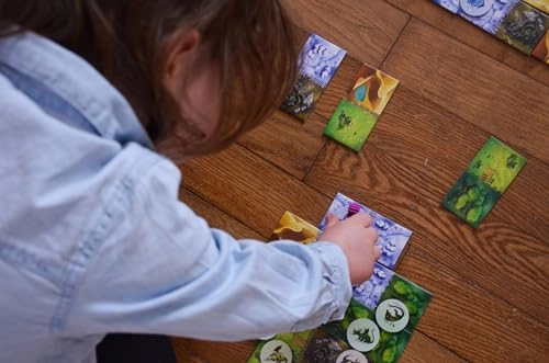 Dragomino: My First Kingdomino