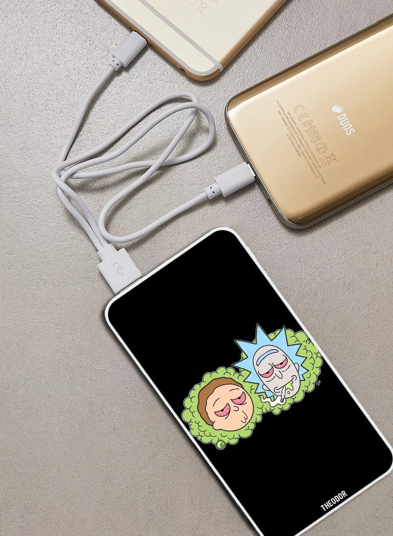 EX_PPBA509 - 10000 Watt-hour 18W PD