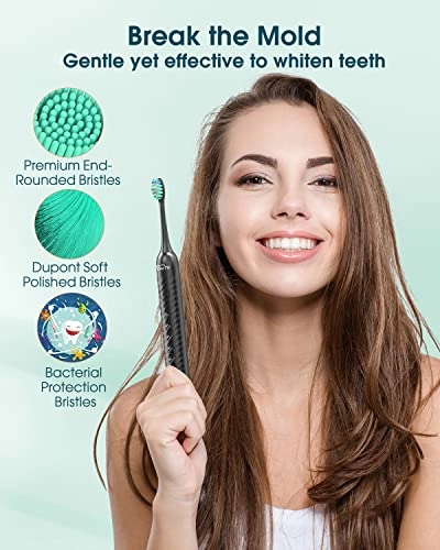 Y01 - 6 Brush Heads Type C 180 Days