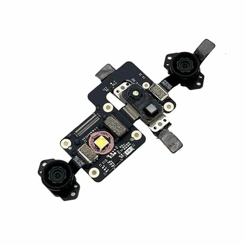 Downward Vision Module
