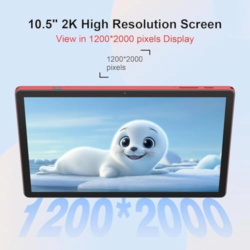 CM8200 Plus - 1000GB 10.1"